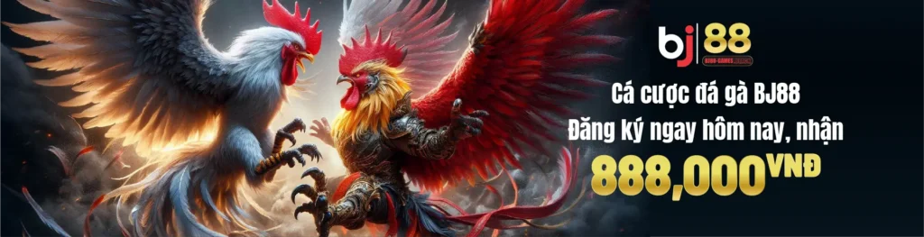 bj88