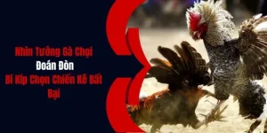 nhin tuong ga choi doan don